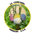 La Comunion Flowers