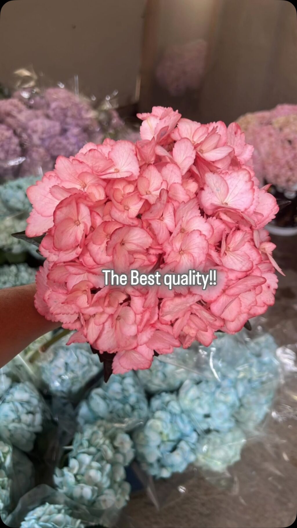 Instagram post from lacomunionflowers. This post is in position 4.