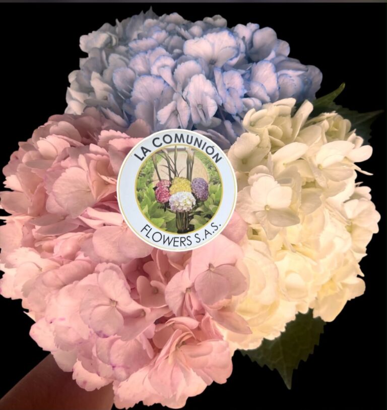 Instagram post from lacomunionflowers. This post is in position 3.