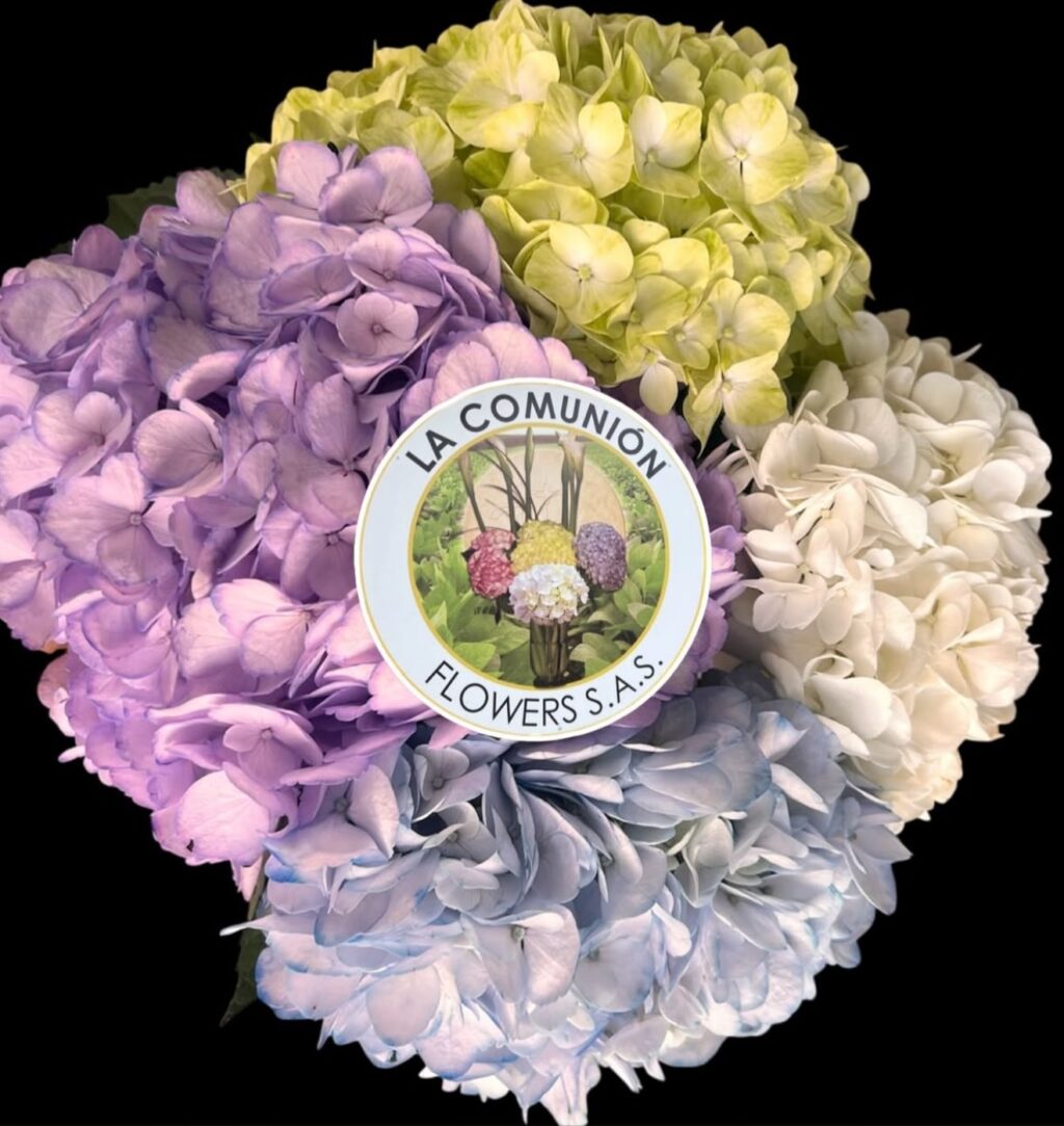 Instagram post from lacomunionflowers. This post is in position 5.