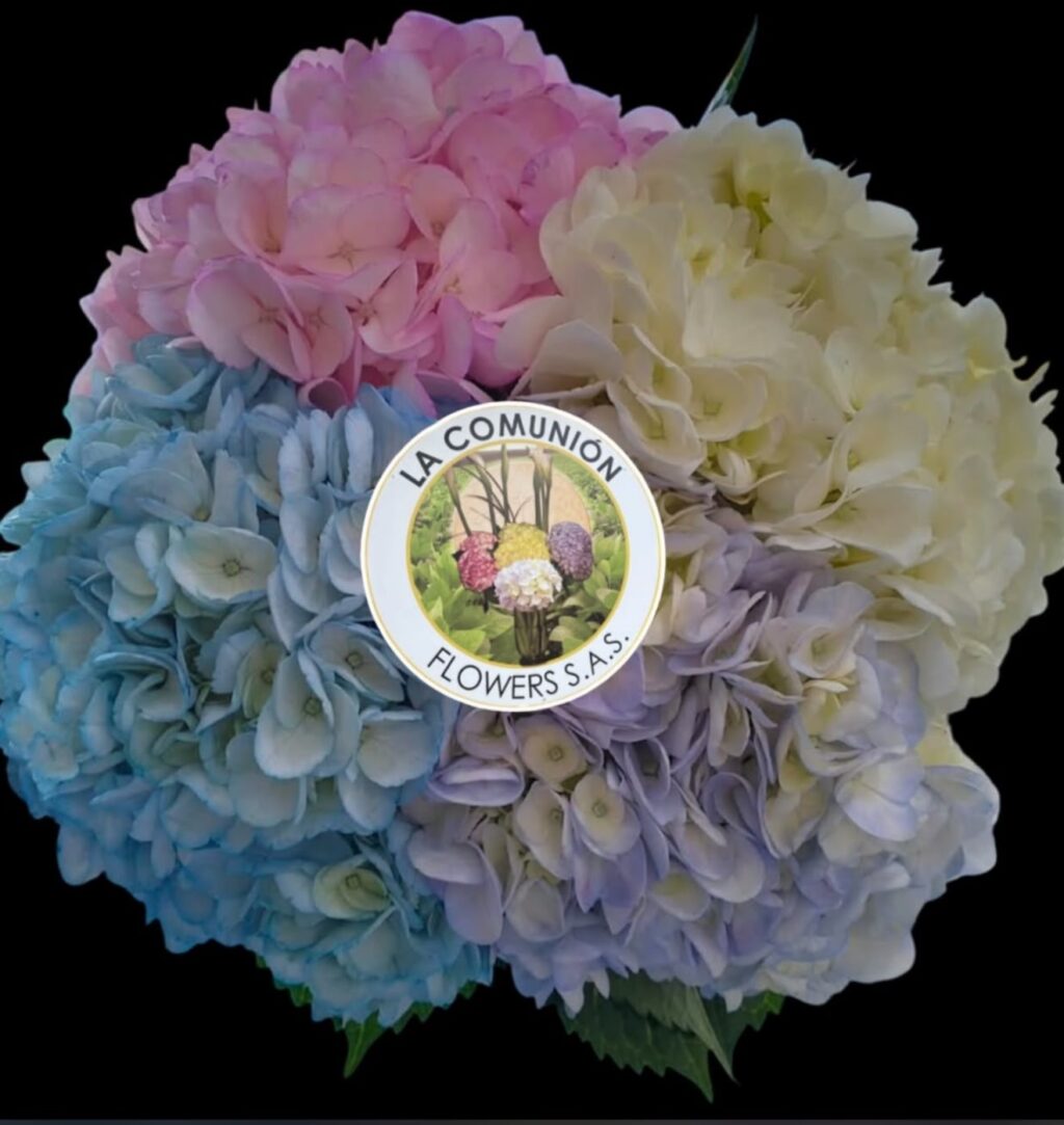 Instagram post from lacomunionflowers. This post is in position 2.