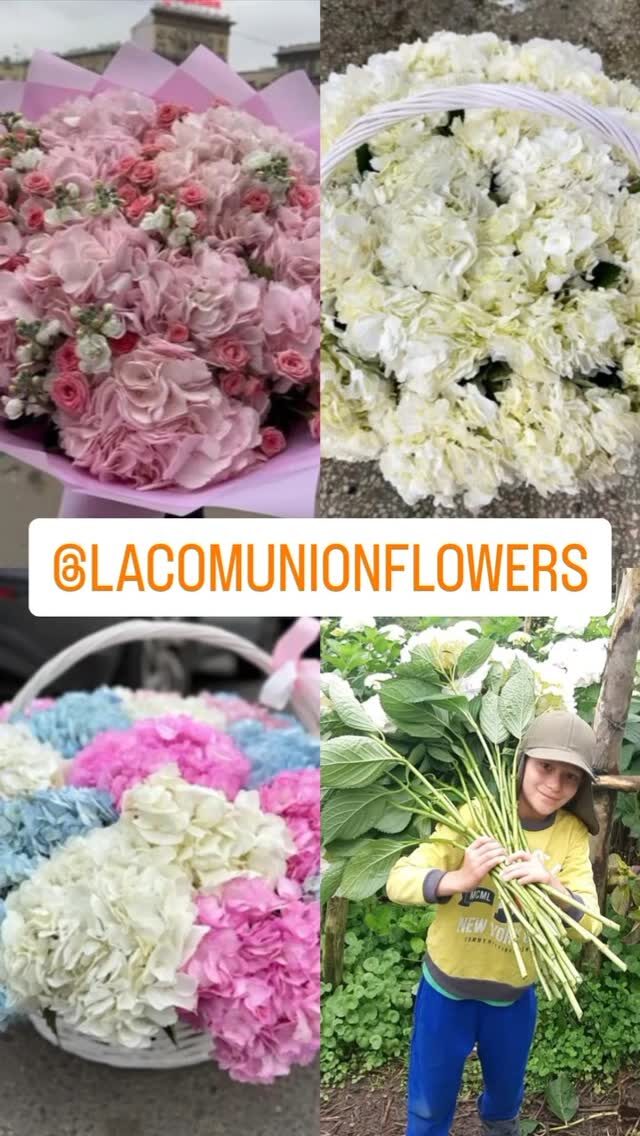 Instagram post from lacomunionflowers. This post is in position 2.
