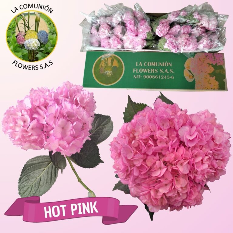 Instagram post from lacomunionflowers. This post is in position 5.