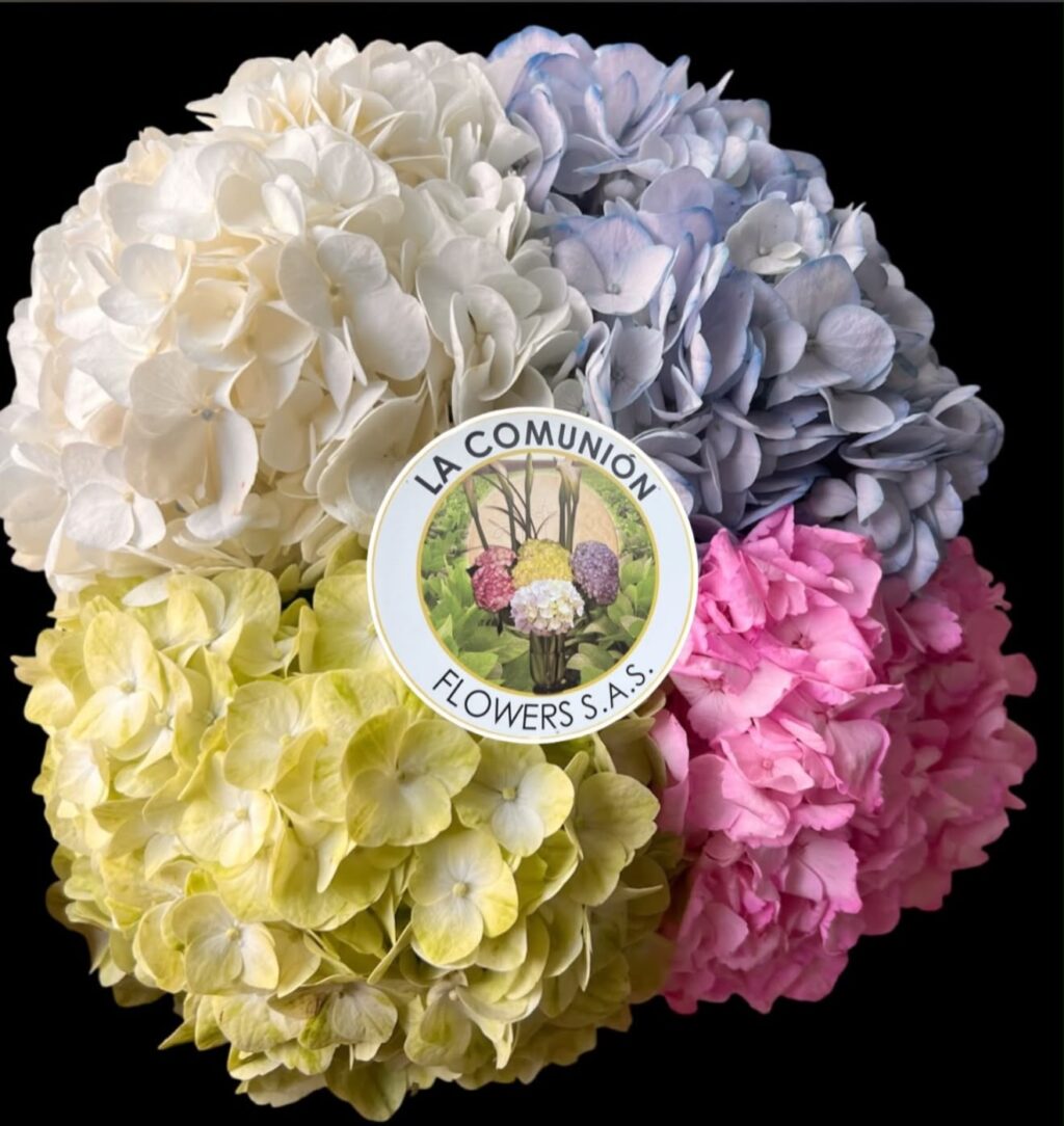 Instagram post from lacomunionflowers. This post is in position 4.