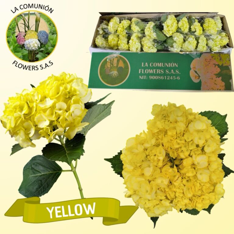 Instagram post from lacomunionflowers. This post is in position 4.